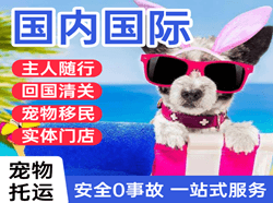 德宏机场空运国际宠物托运 【国